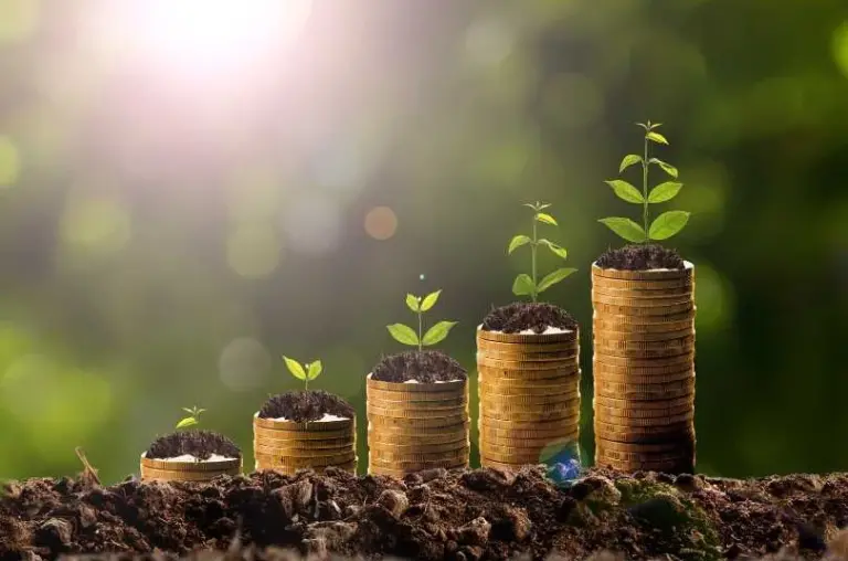 Tax planning strategies being depicted through plants growing out of coins